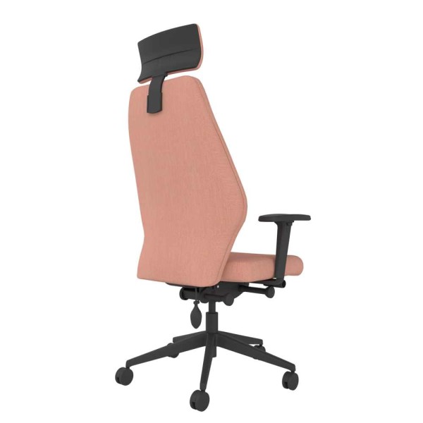 22012024 114025 SL152 Back Right